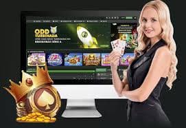 ibet8